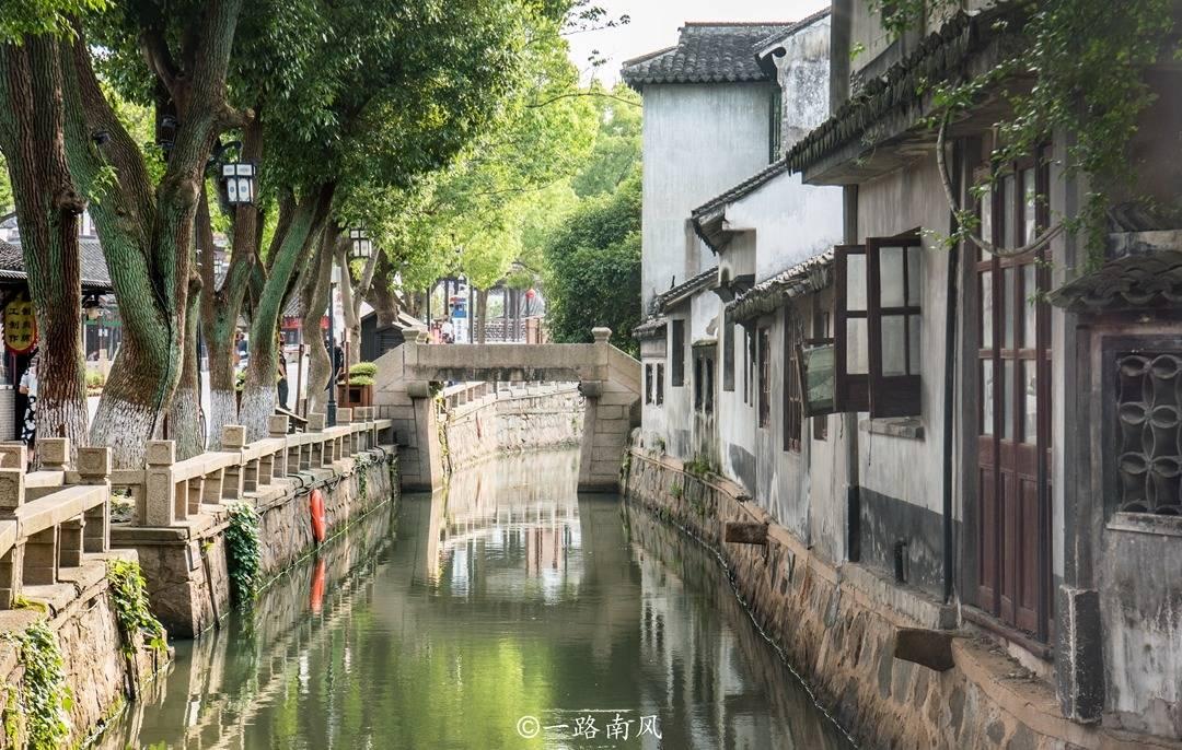动物帮帮忙保卫家园